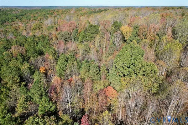 a view of a forest with an outdoor space