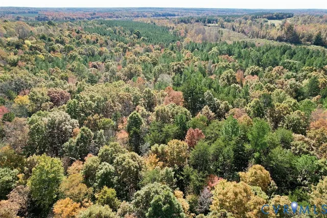 a view of a bunch of trees and houses