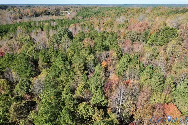 a view of a forest with a street