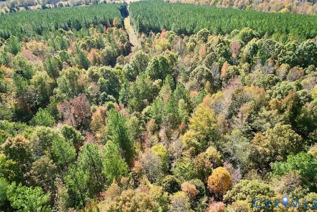 an aerial view of a yard