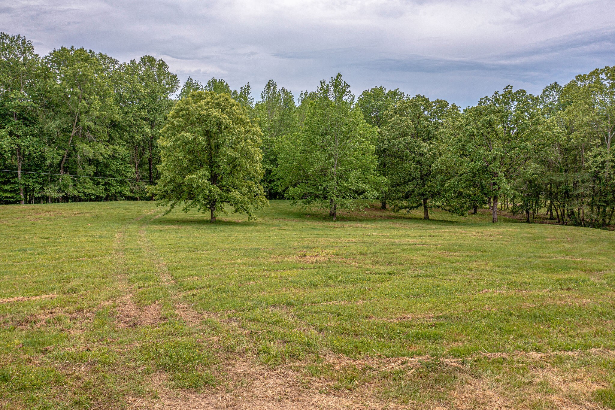 0 Hargrove Road West Dickson, TN 37055 - Photo 3 of 23 a view of a yard with an outdoor space