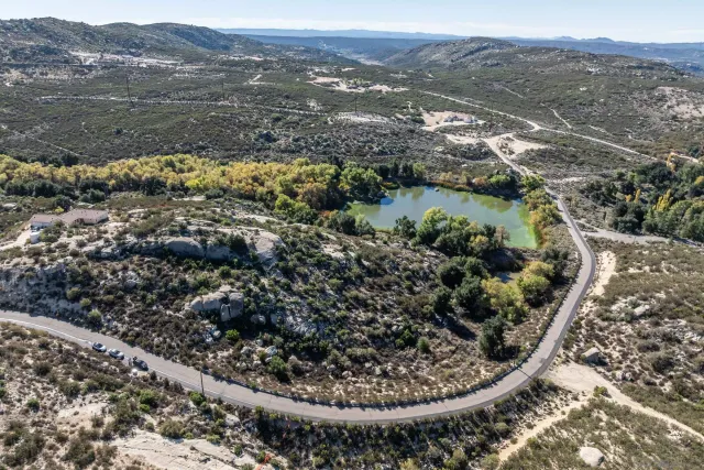 a view of a lots of trees