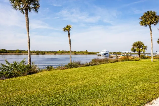 a view of a water with palm trees