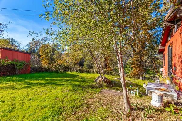 a backyard of a house with lots of plants and trees