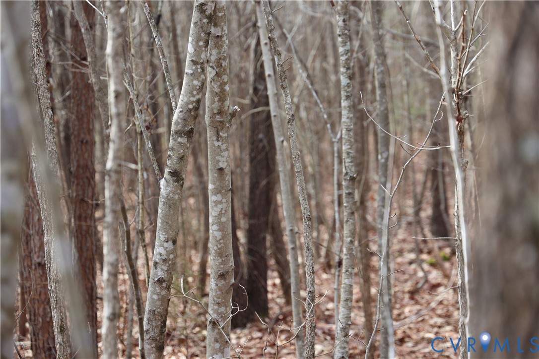 0 West Store Road Nathalie, VA 24577 - Photo 13 of 20 Gallery Image 13