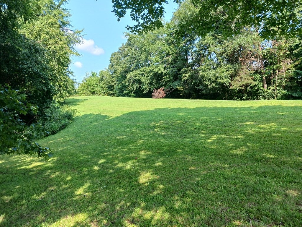 1351 Sheppards Road Farmville, VA 23901 - Photo 10 of 31 Gallery Image 10