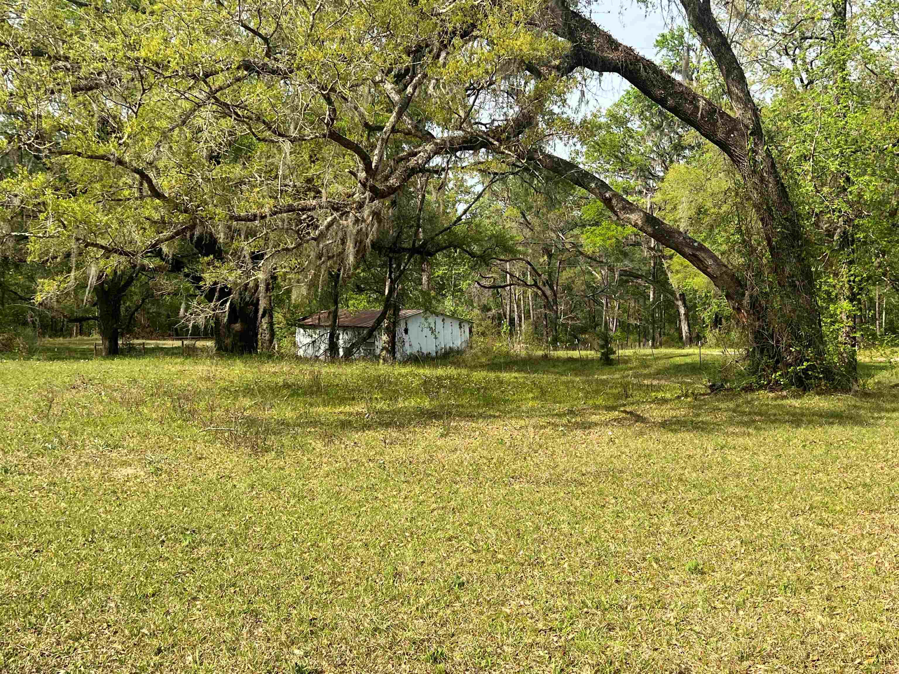 523 Silver Lake Road Monticello, FL 32344 - Photo 14 of 14