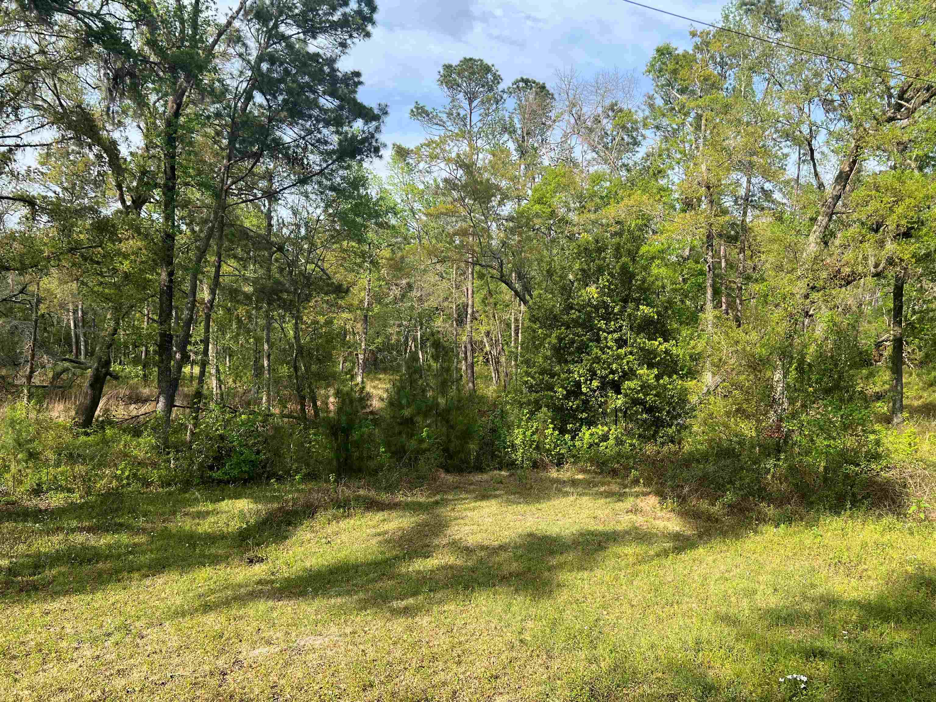 523 Silver Lake Road Monticello, FL 32344 - Photo 2 of 14