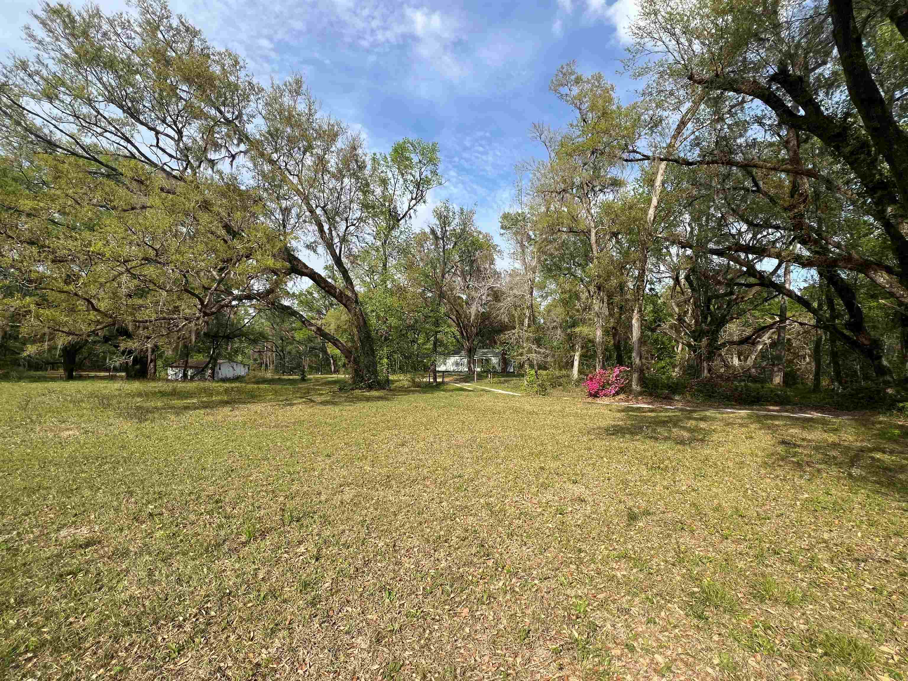 523 Silver Lake Road Monticello, FL 32344 - Photo 3 of 14