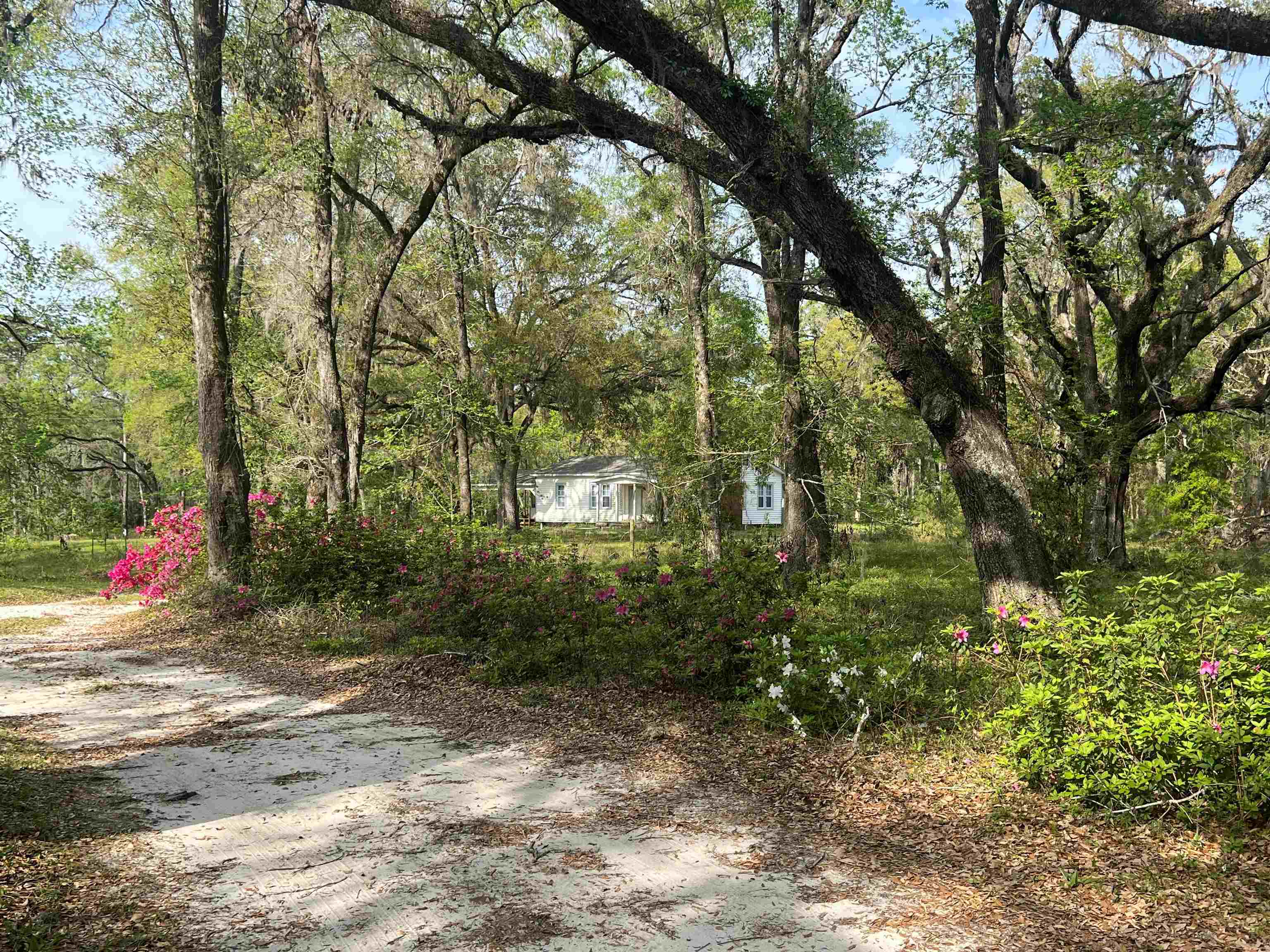 523 Silver Lake Road Monticello, FL 32344 - Photo 4 of 14