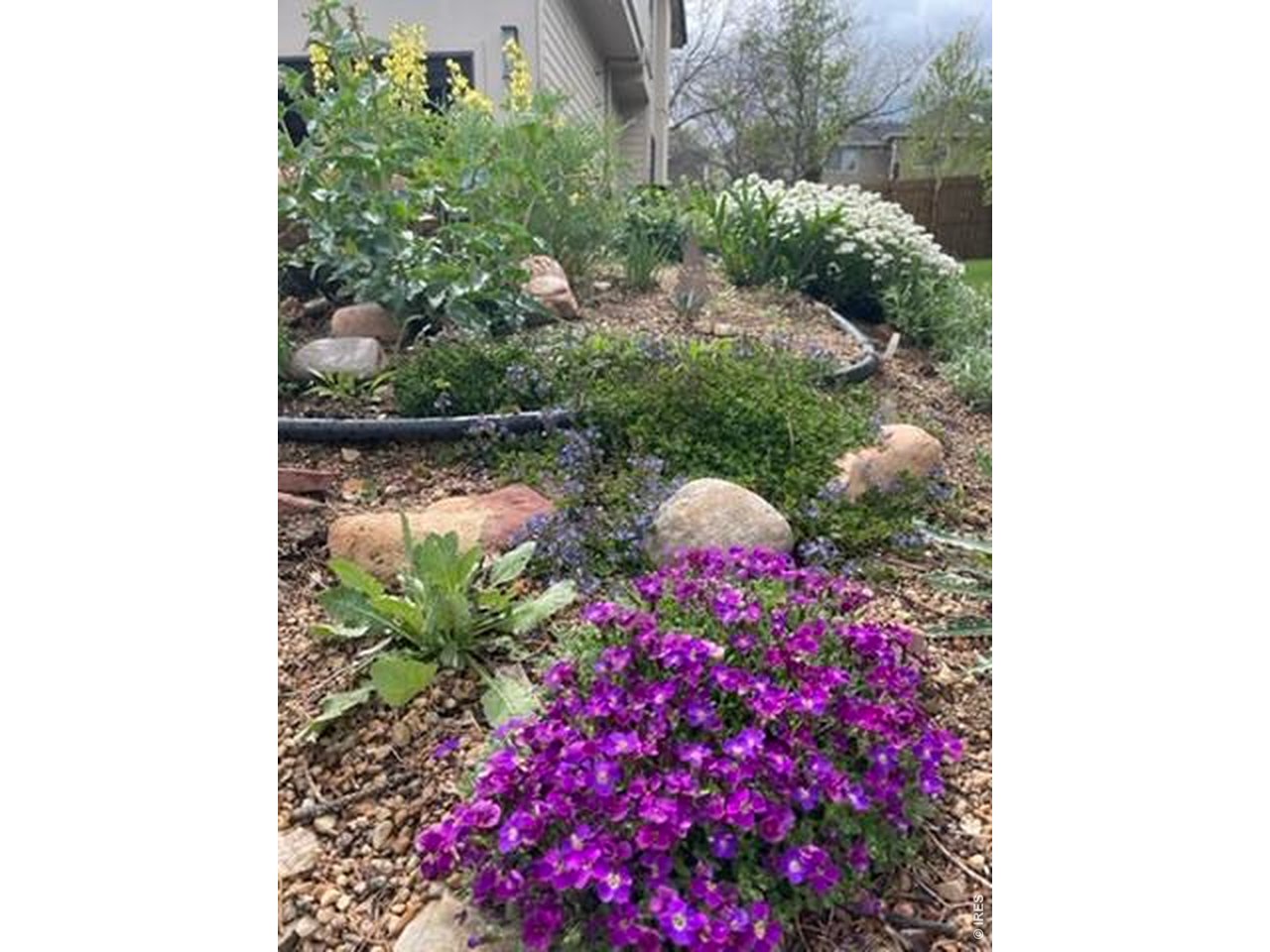 1111 Utica Circle Boulder, CO 80304 - Photo 39 of 49