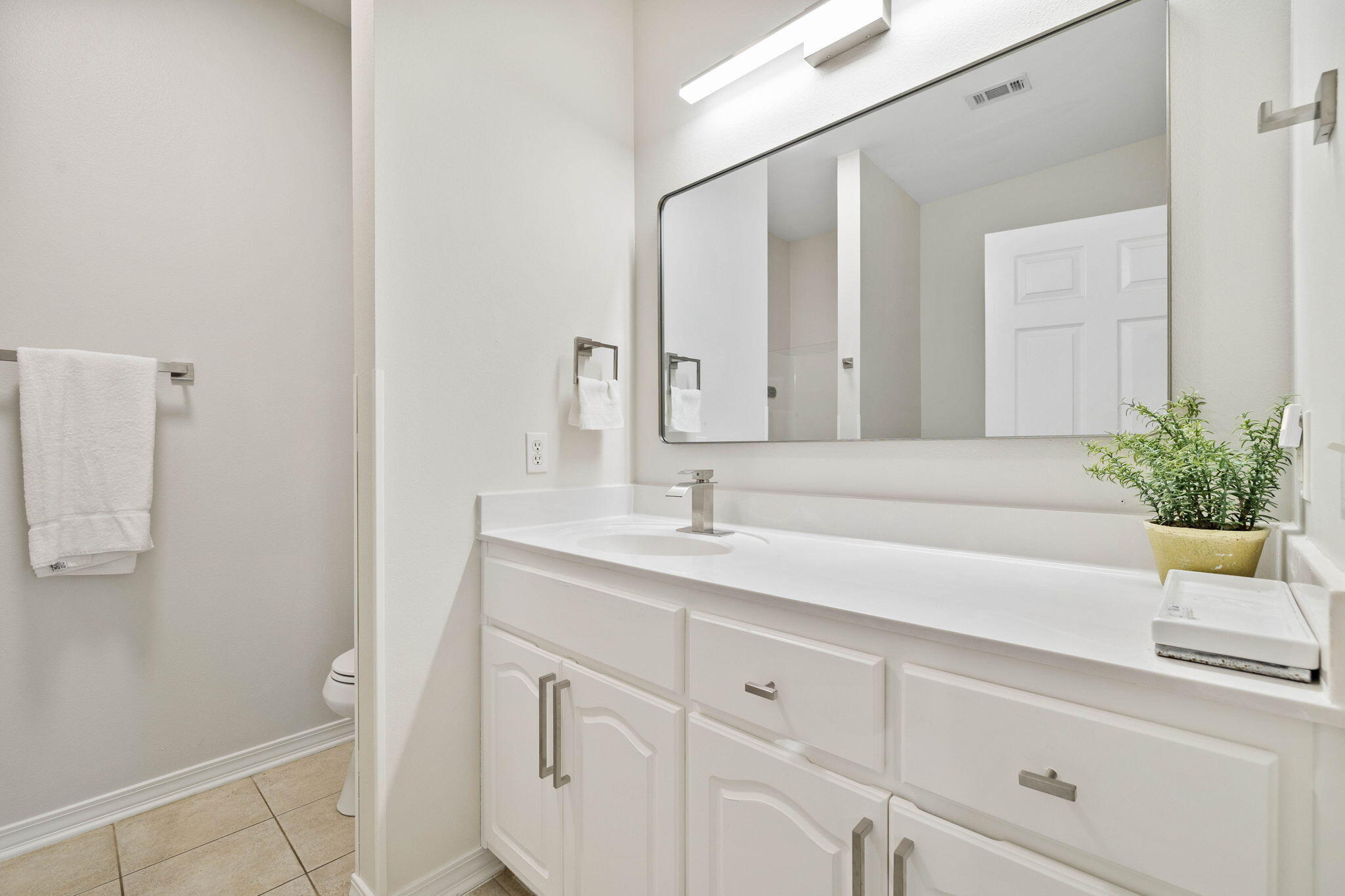482 Hidden Lake Way Santa Rosa Beach, FL 32459 - Photo 32 of 51 a bathroom with a sink a potted plant and a mirror