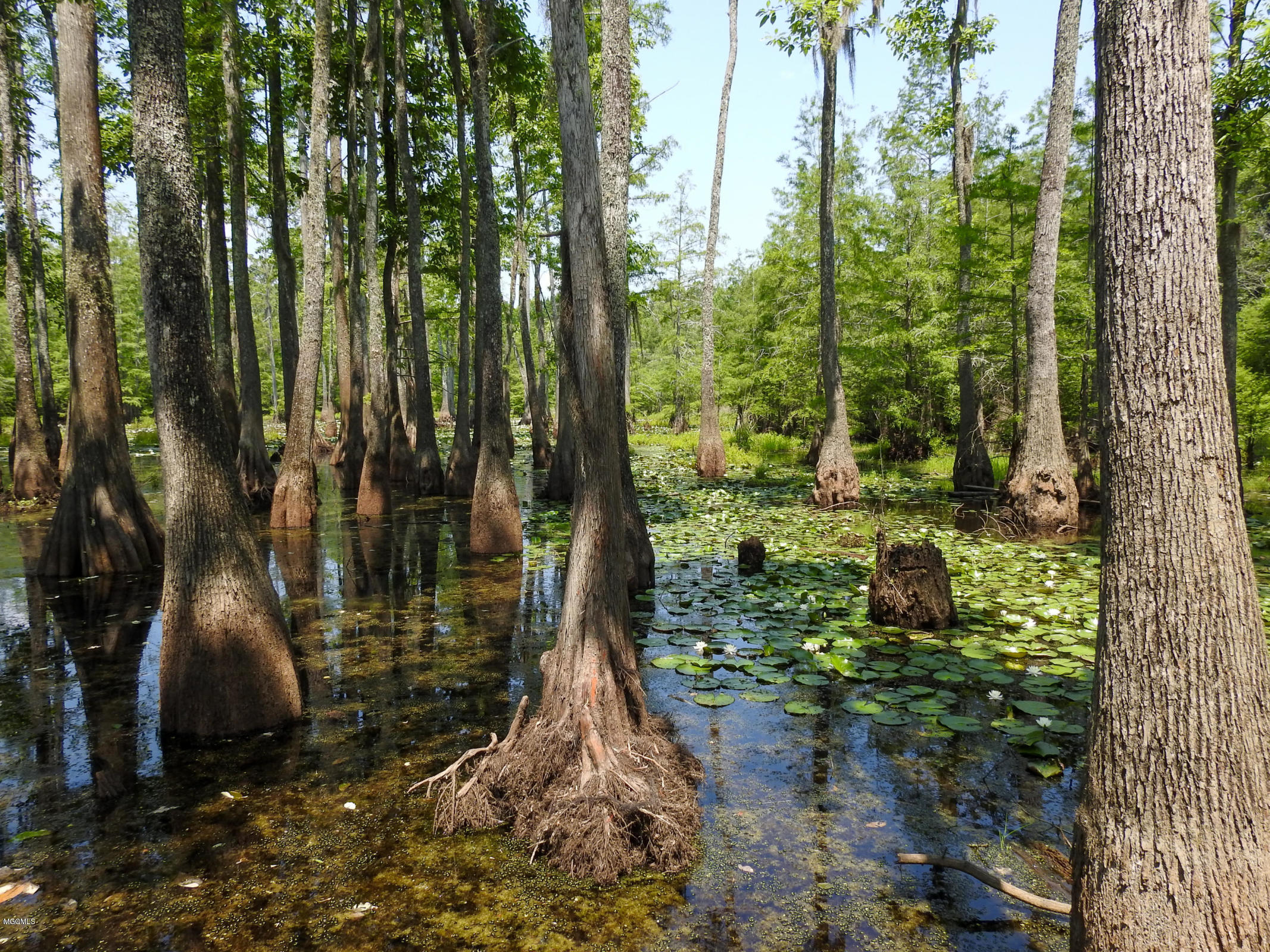 162 Serene Path State Line, MS 39362 - Photo 13 of 16 serene3