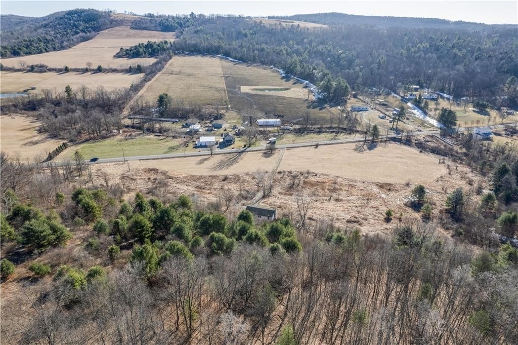 365 Monkey Run Road Elmira, NY 14901 - Photo 4 of 5