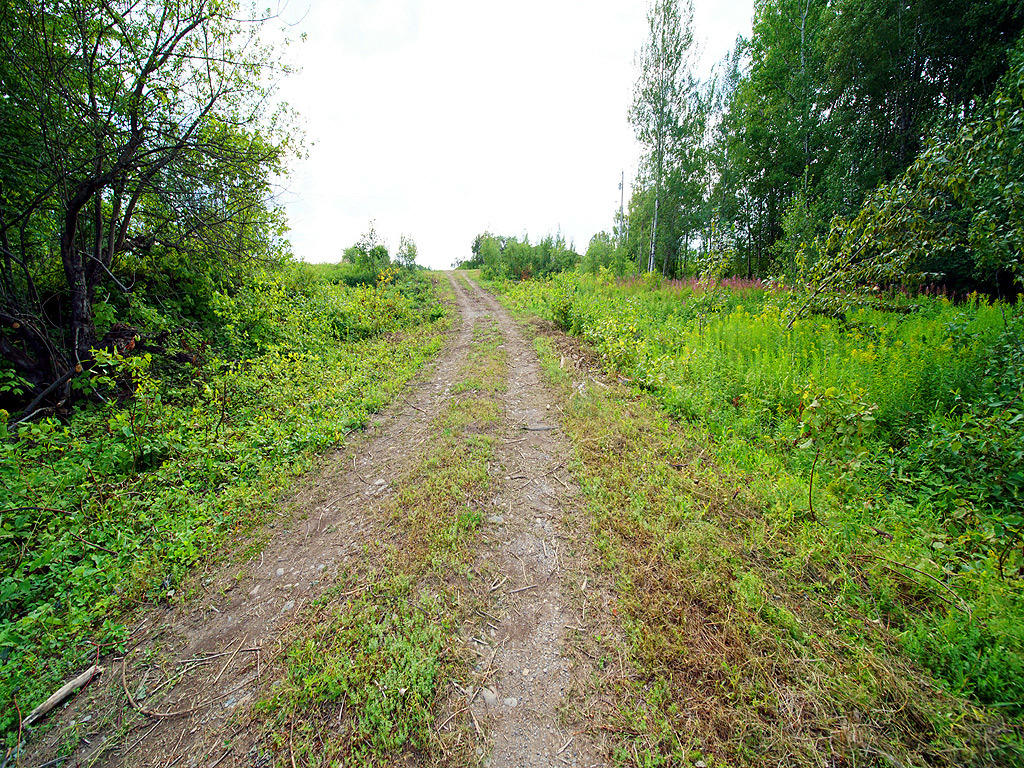 467 Foster Road Littleton, ME 04730 - Photo 12 of 80 467-foster-rd-littleton-3