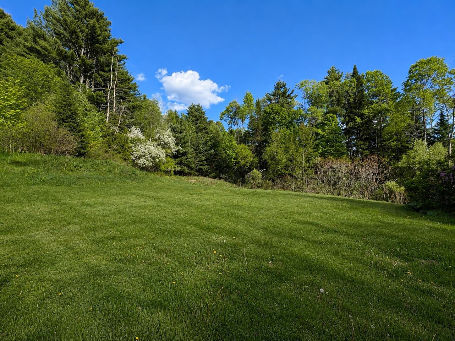 704 South Wheelock Road Lyndon, VT 05851 - Photo 29 of 29