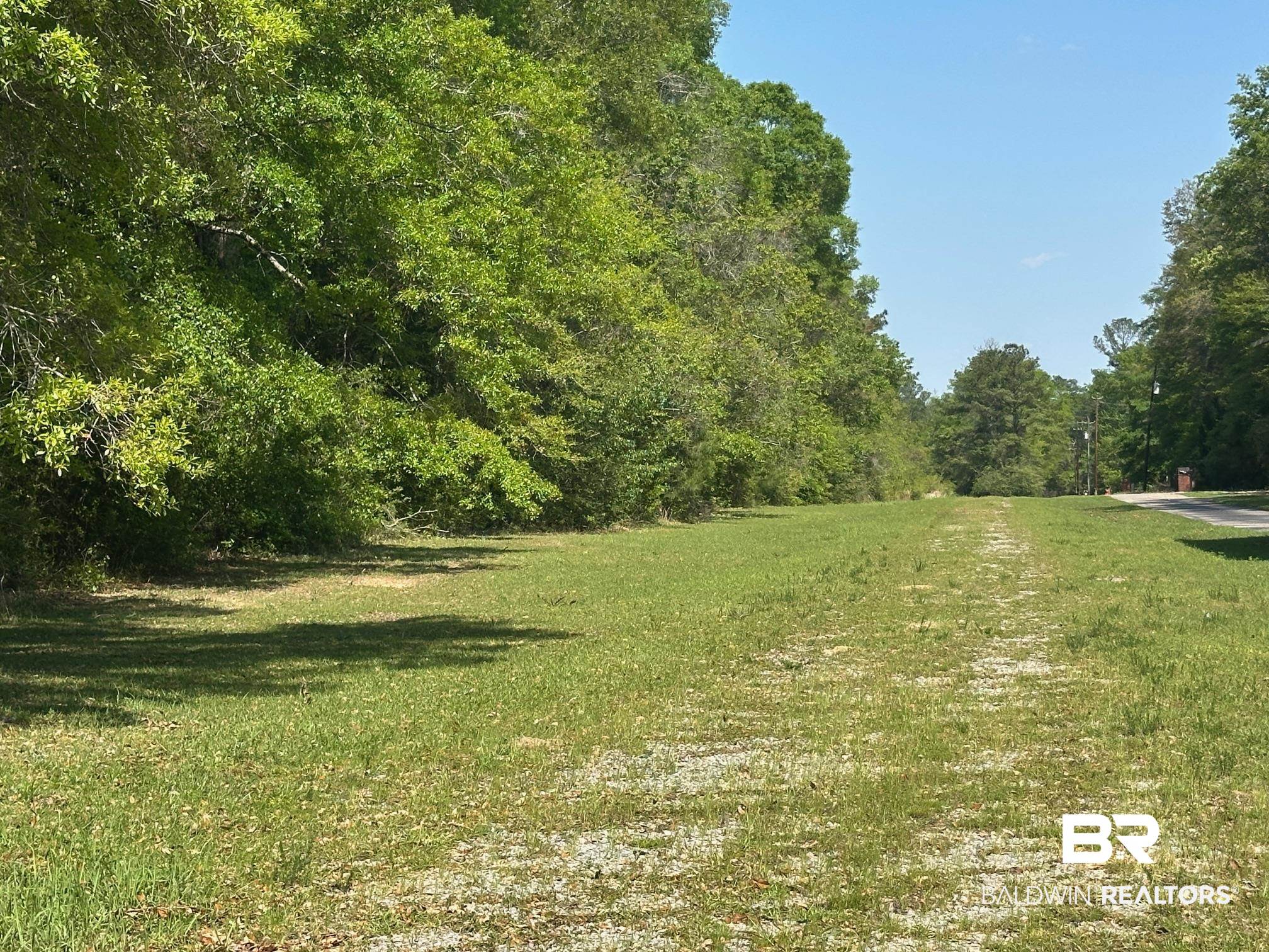0 I-65 Service Road Satsuma, AL 36572 - Photo 10 of 27 View of yard featuring a forest view