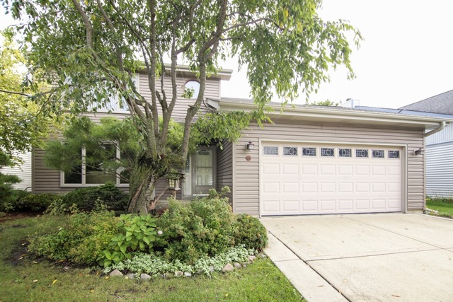 721 Garth Road Wheeling, IL 60090 - Photo 1 of 12 Gallery Image 1