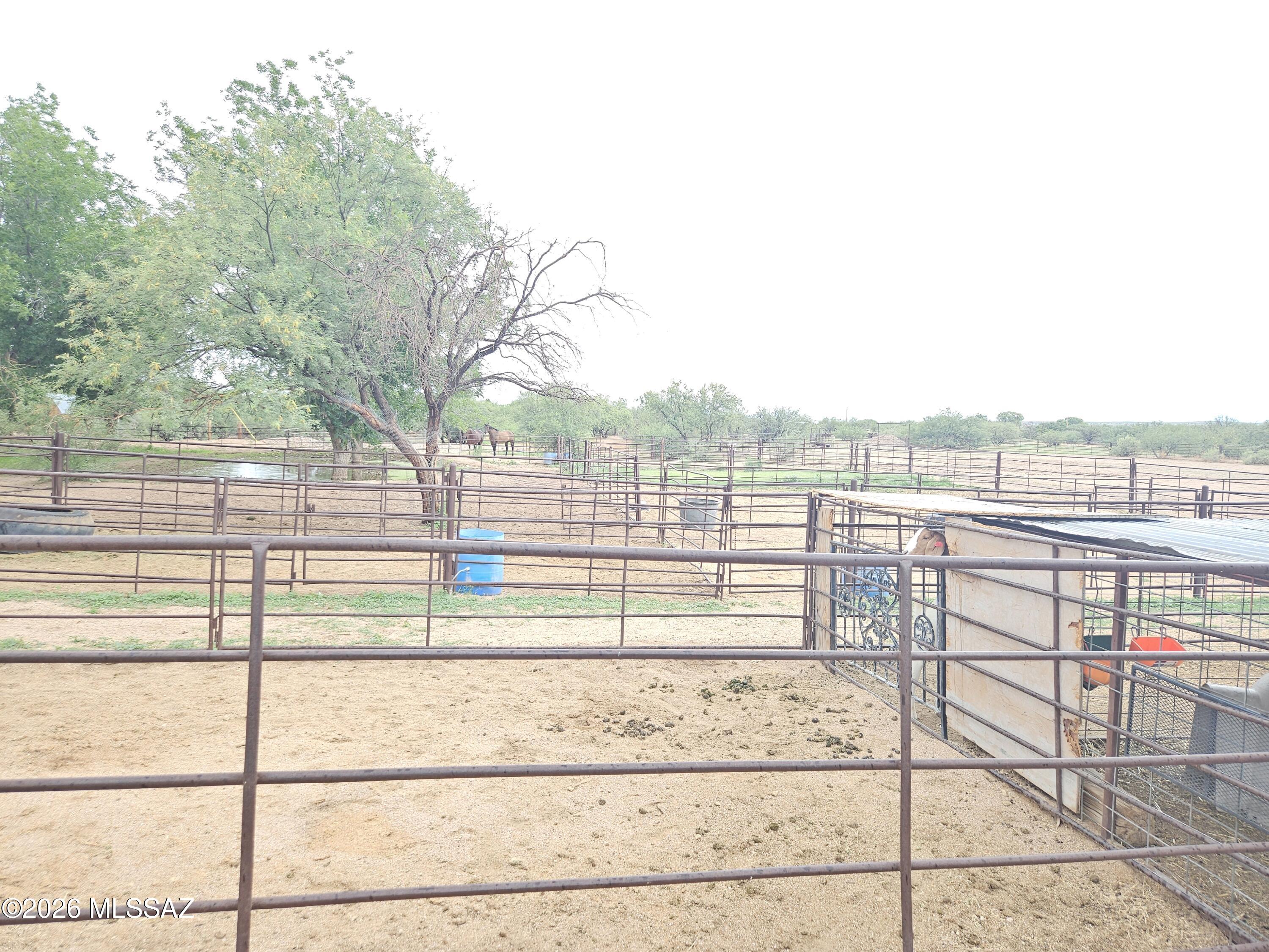 1115 North Mill Iron Road St. David, AZ 85630 - Photo 10 of 11