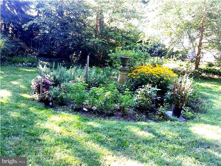 5 Ardsley Road Yardley, PA 19067 - Photo 23 of 25 View in Back