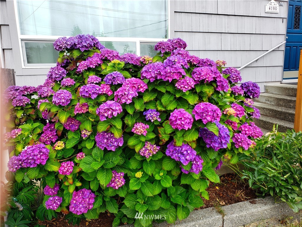 4108 Petersville Road Northeast Bremerton, WA 98310 - Photo 24 of 29 Gallery Image 24
