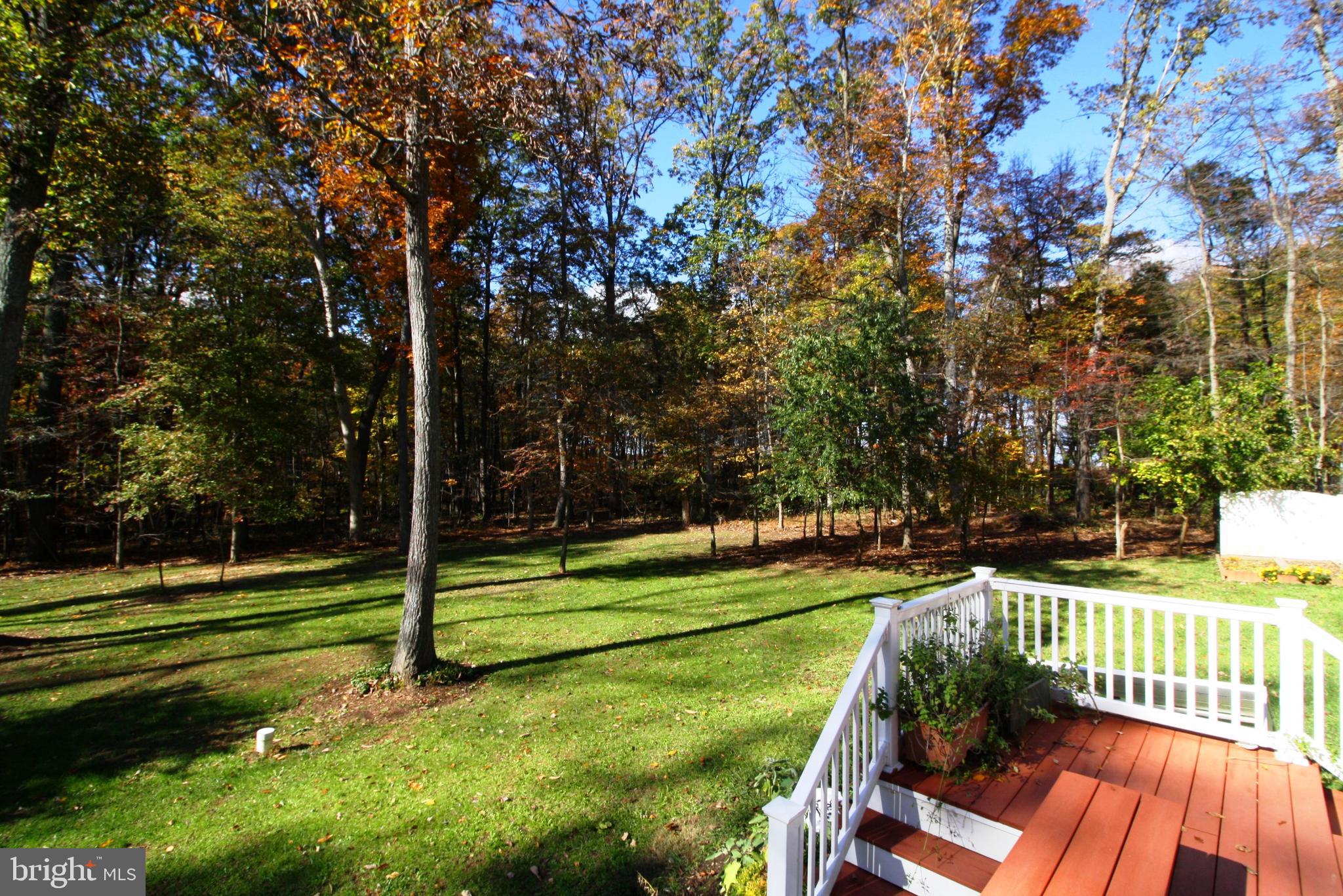 21008 Keeney Mill Road Freeland, MD 21053 - Photo 15 of 75 Deck View
