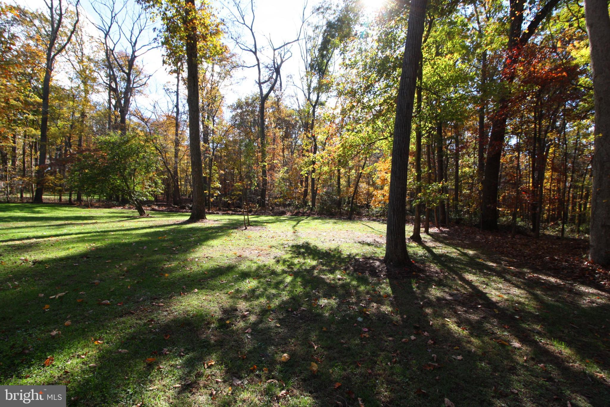 21008 Keeney Mill Road Freeland, MD 21053 - Photo 73 of 75 Backyard