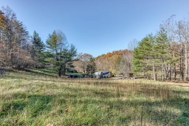 $250,000 | 3004 Cane Creek Road, Bakersville, NC 28705