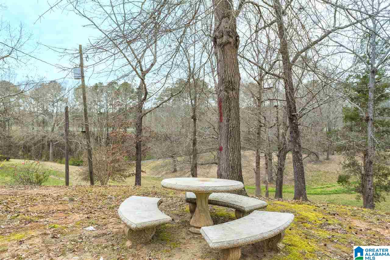 4542 Palace Road Dora, AL 35062 - Photo 9 of 32