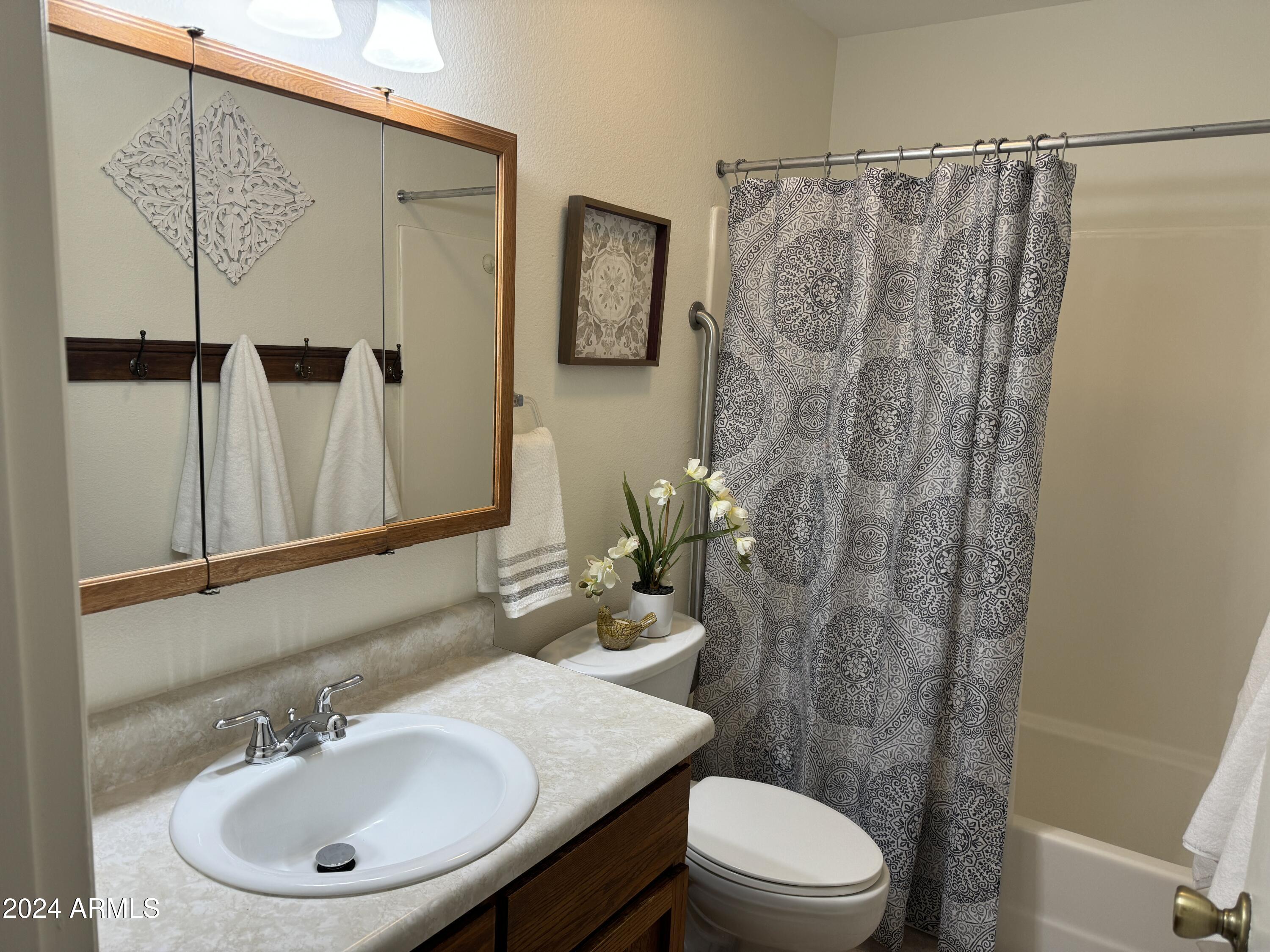 3270 South Goldfield Road, Unit 217 Apache Junction, AZ 85119 - Photo 11 of 33 Bath