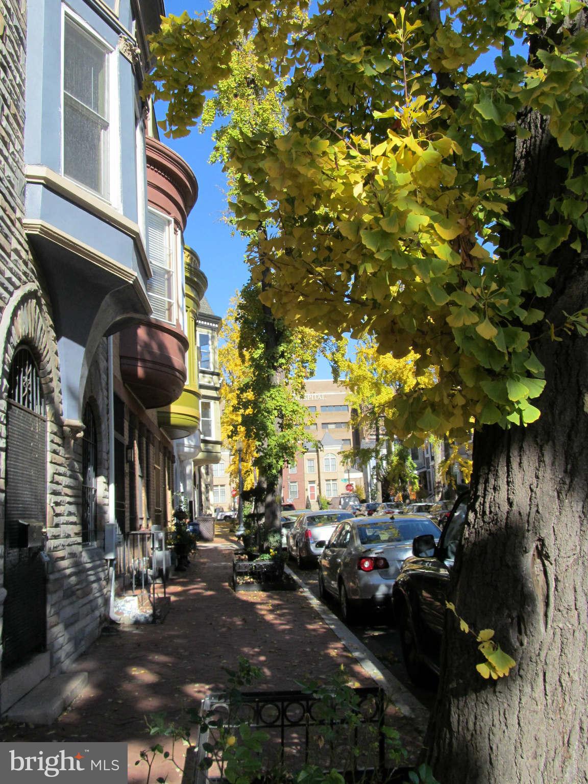 1908 6th Street Northwest Washington, DC 20001 - Photo 2 of 30