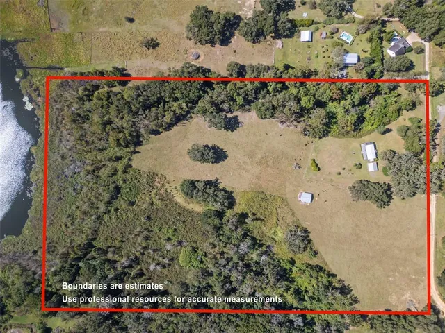 a view of a flower in a garden