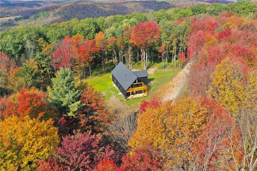 7080 Creek Ridge Road Ellicottville, NY 14731 - Photo 5 of 43