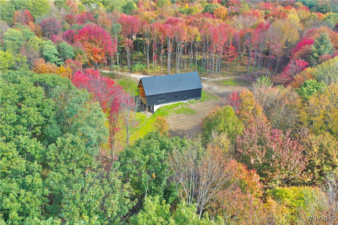 7080 Creek Ridge Road Ellicottville, NY 14731 - Photo 6 of 43