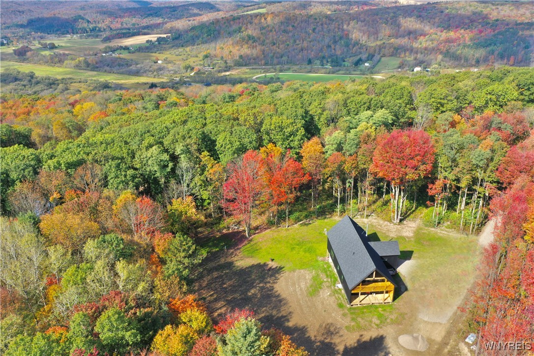 7080 Creek Ridge Road Ellicottville, NY 14731 - Photo 7 of 43