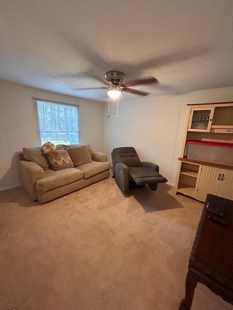 3181 Wire Road Monetta, SC 29105 - Photo 22 of 26