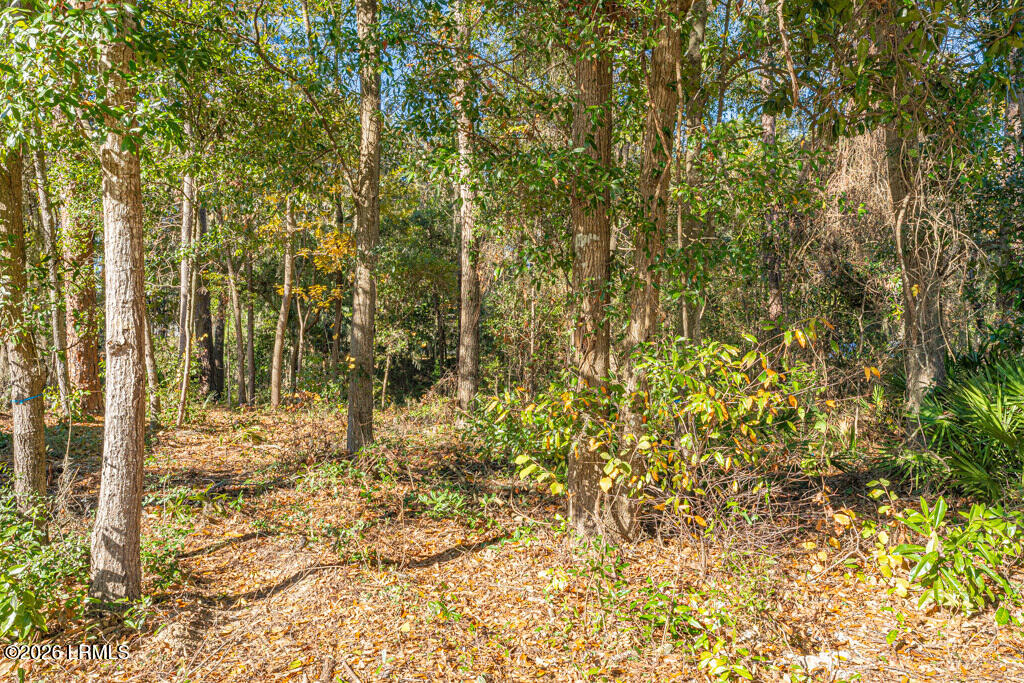 56 Pritchard Street Bluffton, SC 29910 - Photo 9 of 33 56 Pritchard St, Bluffton-3