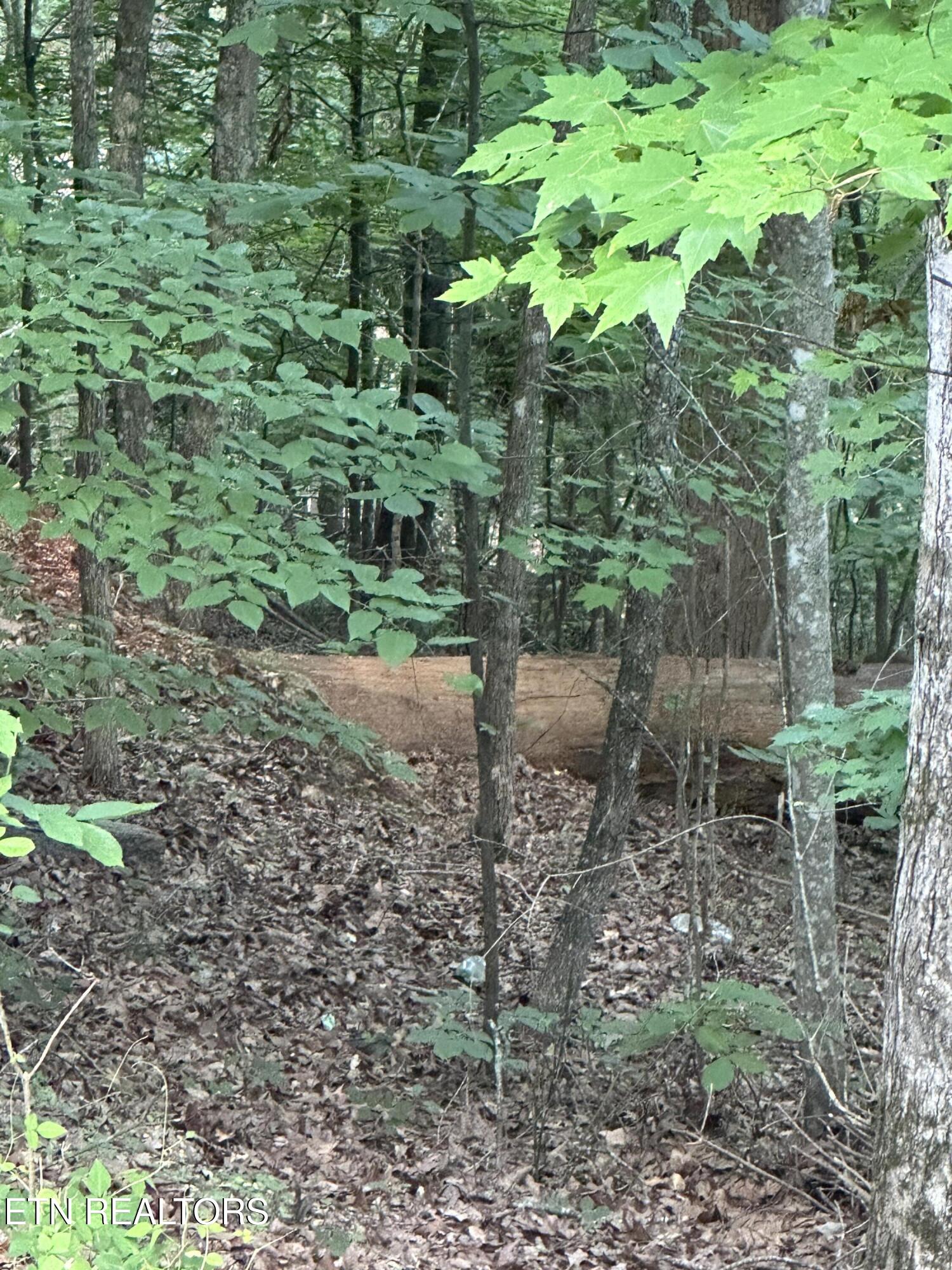 Hiwassee View Jacksboro, TN 37757 - Photo 16 of 16 jacksboro 18