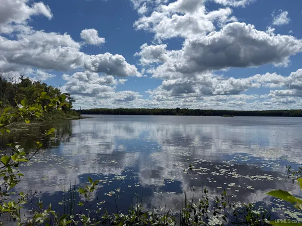 $80,000 | Off Langford Lake Road, Watersmeet, MI 49969