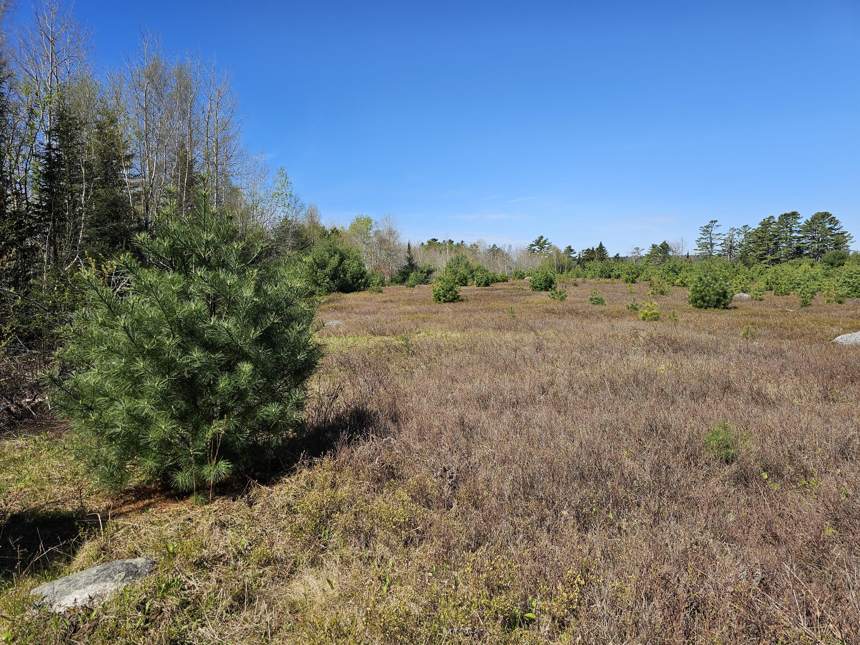 0 Georges Pond Road Franklin, ME 04634 - Photo 16 of 43 20250513_101257