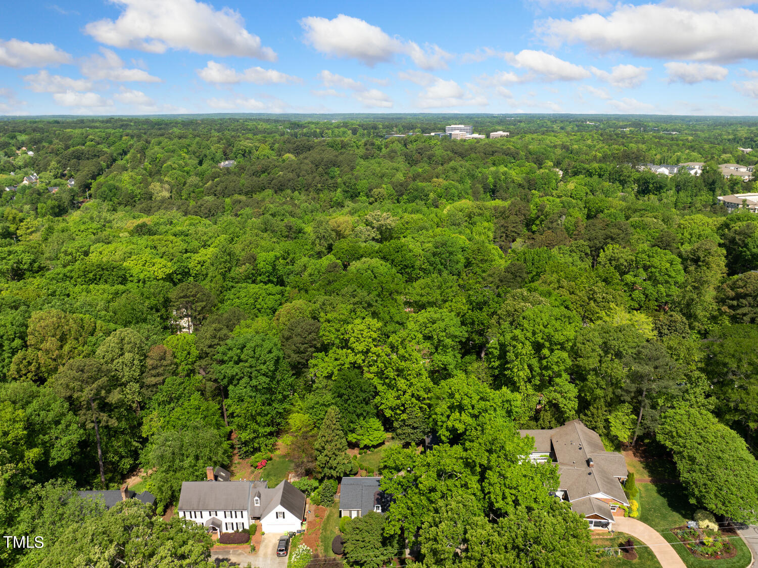 2421 Tyson Street Raleigh, NC 27612 - Photo 59 of 61 DJI_20240422110954_0026_D