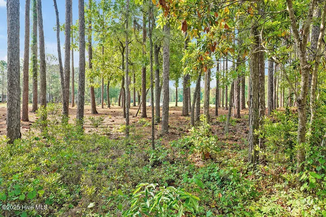 $2,395 | 3185 Wexford Way, Southport, NC 28461