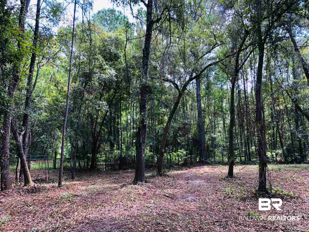 17370 Polo Ridge Boulevard Fairhope, AL 36532 - Photo 6 of 17