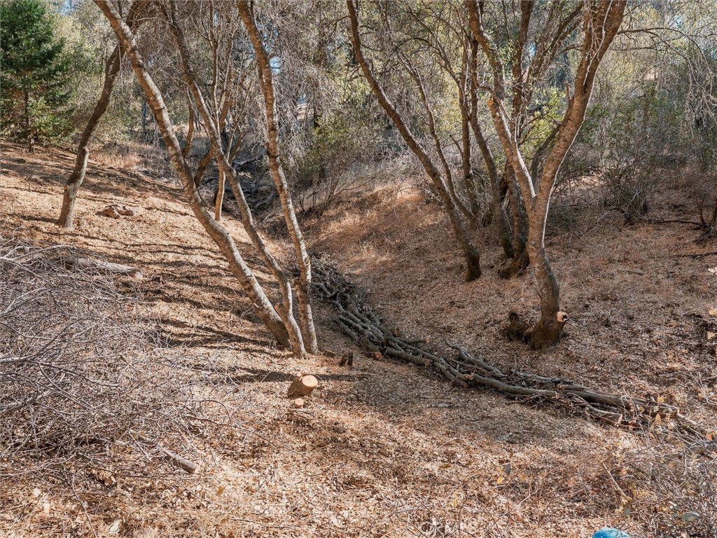 4460 Usona Road Mariposa, CA 95338 - Photo 39 of 40 Gallery Image 39