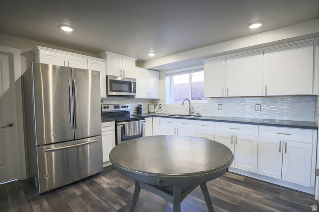 422 West Buckeye Reef Road Leeds, UT 84746 - Photo 23 of 47 2nd Kitchen down featuring stainless steel appliances, white cabinets, dark countertops, dark wood-style flooring, and recessed lighting