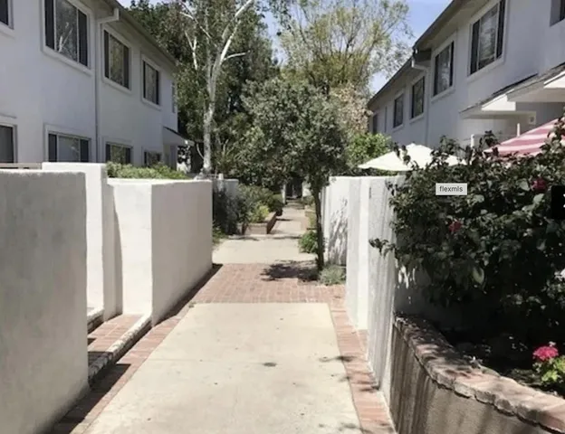 a potted plant sitting on a deck