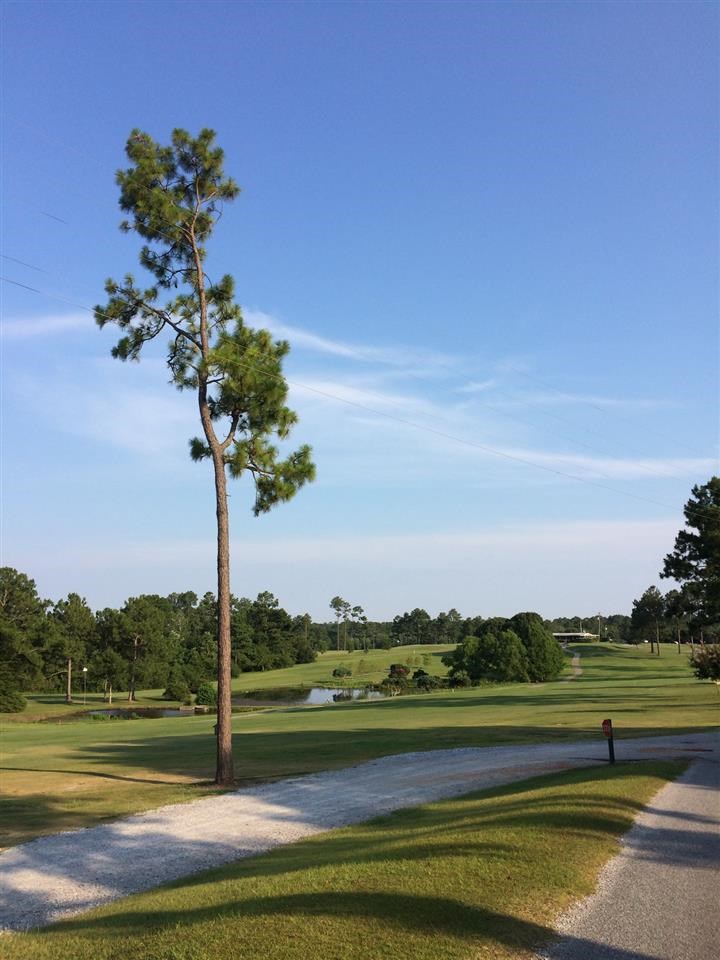 1141 Conference Road Cantonment, FL 32533 - Photo 30 of 33 Gallery Image 30