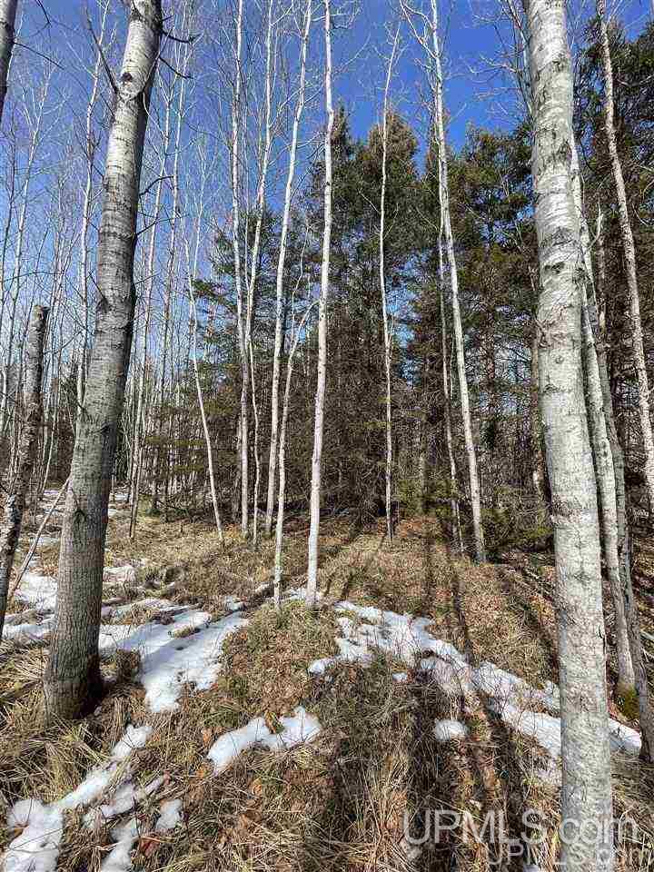 Tbd Tbd Co Road, Unit 1 Marquette, MI 49855 - Photo 38 of 50