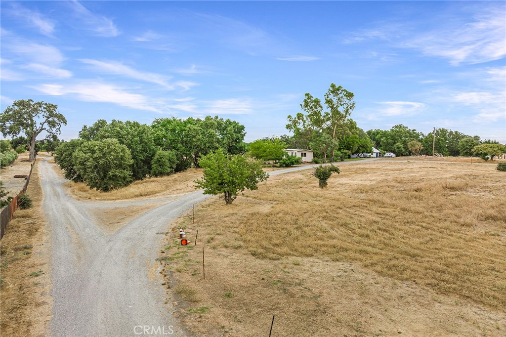 24154 Maria Avenue Corning, CA 96021 - Photo 1 of 40 a view of a yard with an outdoor space