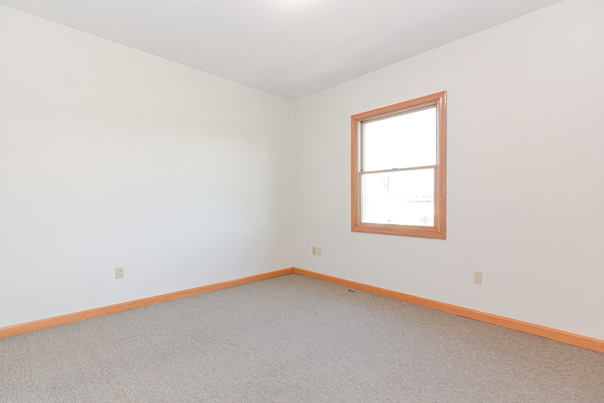 12 Rena Street Boston, MA 02134 - Photo 9 of 37 Gallery Image 9